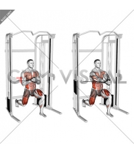 Cable Split Stance Horizontal Pallof Press (male)