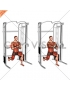 Cable Split Stance Horizontal Pallof Press (male)