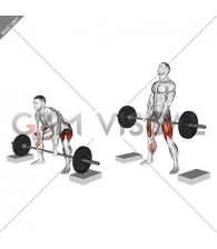 Barbell Sumo Deadlift from Blocks (male)