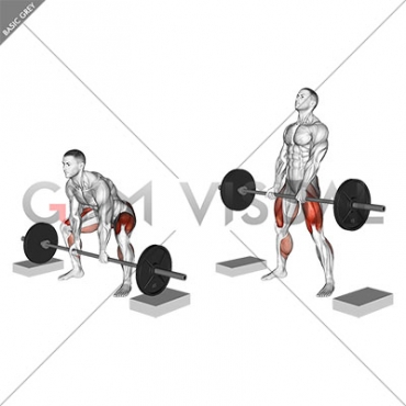 Barbell Sumo Deadlift from Blocks (male)