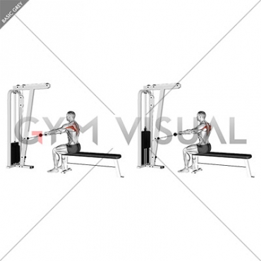 Cable Seated Horizontal Shrug (male)