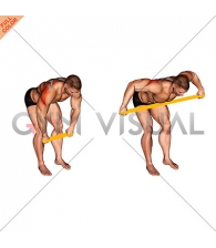 Resistance Band Bent Over Rear Delt Fly (male)