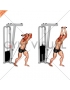 Cable Overhead Tricep Extension StraighT-bar (male)