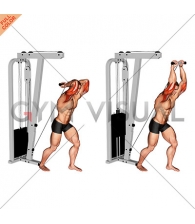 Cable Overhead Tricep Extension StraighT-bar (male)