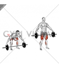 Barbell Reeves Deadlift (male)