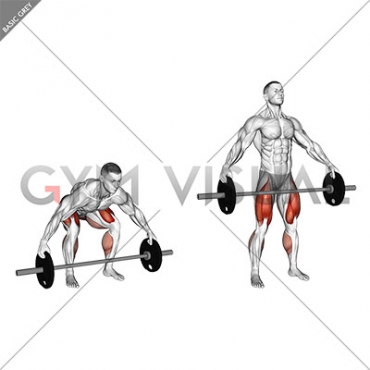 Barbell Reeves Deadlift (male)