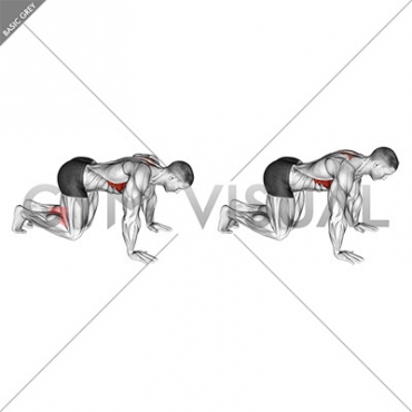 Kneeling Scapular Push-Up (male)