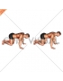 Kneeling Scapular Push-Up (male)