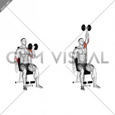 Dumbbell Seated One Arm Arnold Press (male)