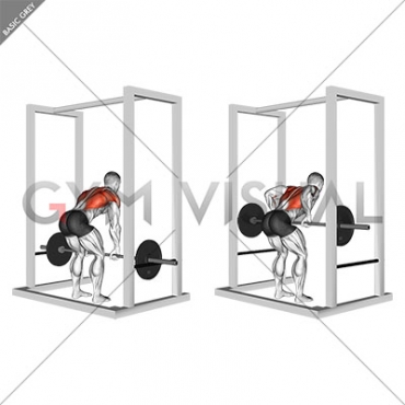 Barbell Deadstop Row with Rack (male)