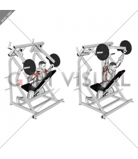 Lever Reverse Shoulder Press (plate loaded)