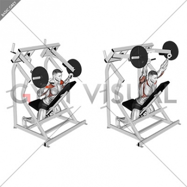 Lever Reverse Shoulder Press (plate loaded)