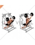 Lever Reverse Shoulder Press (plate loaded)