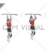 Weighted Hang Chin-Up