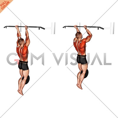 weighted chin ups
