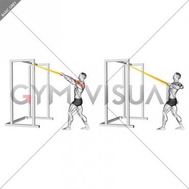 Resistance Band Rear Delt Row (male)