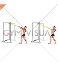 Resistance Band Rear Delt Row (male)