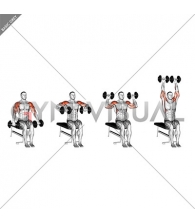 Dumbbell Seated Cuban Press