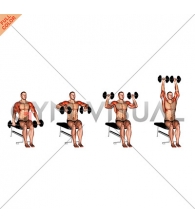 Dumbbell Seated Cuban Press