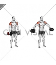 Dumbbell Partials Lateral Raise