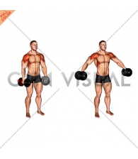 Dumbbell Partials Lateral Raise