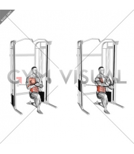 Cable Half Kneeling Pallof Press