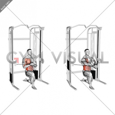 Cable Half Kneeling Pallof Press