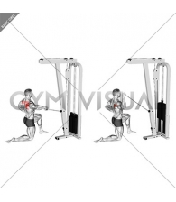 Cable Half Kneeling External Rotation