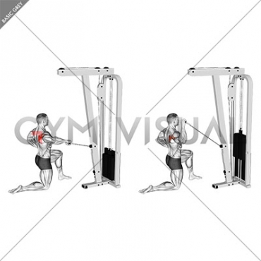 Cable Half Kneeling External Rotation