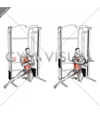 Cable Half Kneeling Adductor Pallof Press