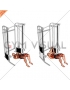 Cable Pallof Press with Glute Bridge