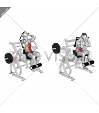 Lever Seated Leg Raise Crunch (plate loaded)