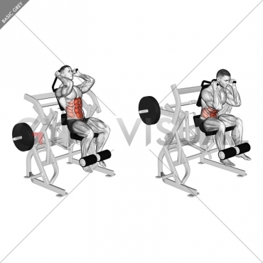 Lever Seated Leg Raise Crunch (plate loaded)