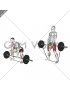 Barbell Banded Sumo Deadlift