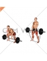 Barbell Banded Sumo Deadlift