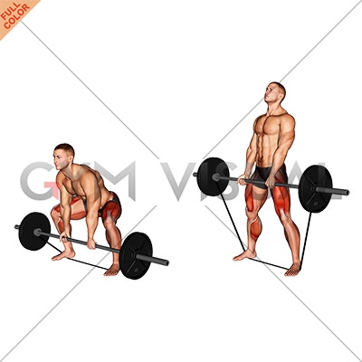 Sumo deals deadlift barbell