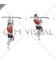 Band Assisted Chin-Up (From Knee)