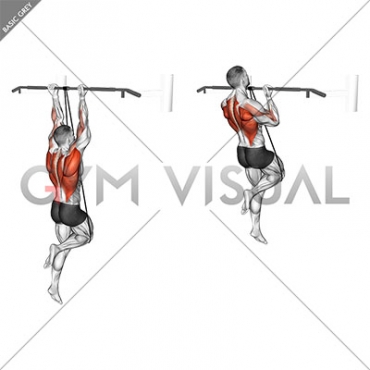 Band Assisted Chin-Up (From Knee)