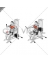 Lever Banded Chest Press