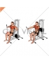 Lever Banded Chest Press