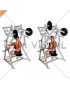 Lever One Arm Low Row (plate loaded)