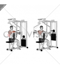 Lever Seated Reverse Fly (parallel grip)