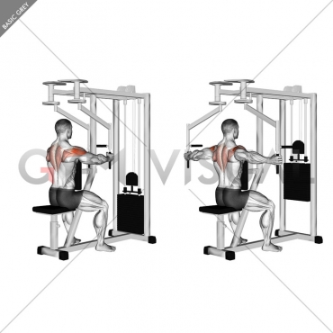 Lever Seated Reverse Fly (parallel grip)