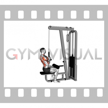 Cable Lateral Pulldown (with rope attachment)