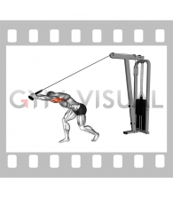 Cable High Pulley Overhead Tricep Extension