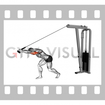 Cable High Pulley Overhead Tricep Extension