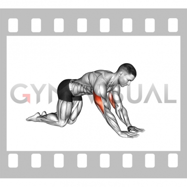 Kneeling bodyweight triceps extension exercise instructions and video
