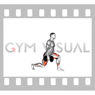 Dumbbell Static Lunge