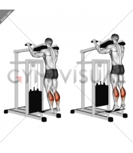 Lever Standing Calf Raise