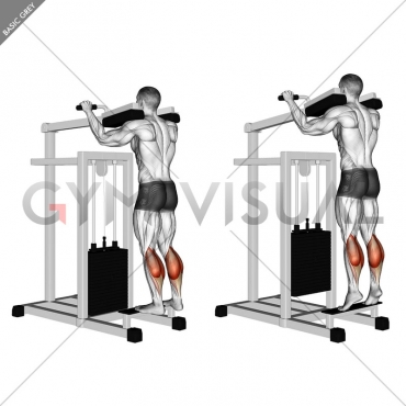 Lever Standing Calf Raise